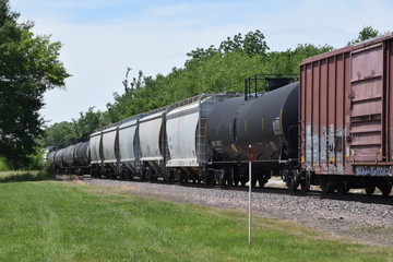 Wall Mural - Train