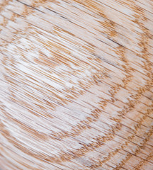 Wall Mural - red oak wood texture background in macro lens shoot