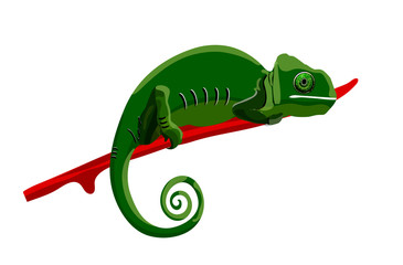 Isolated image with bright green cartoon style chameleon on the red line. Tailed large-eyed small exotic reptile.