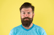 © be free - Grow mustache. Growing and maintaining moustache. Man bearded hipster with mustache. Beard and mustache grooming guide. Hipster handsome bearded attractive guy yellow background. Barber shop concept