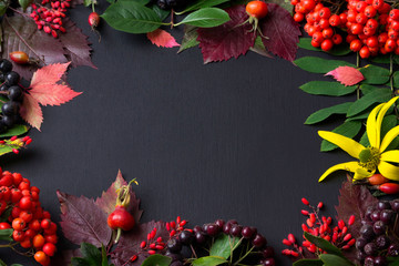 Autumn backdrop with viburnum, rowan, leaves, wild grapes and berry wild rose on aged wood with copy space for  text, top view.