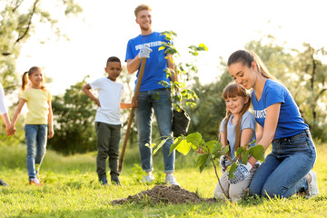 Wall Mural - Kids planting trees with volunteers in park