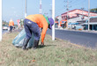 © phoderstock - Group of environmental activists picking up trash on hightway road during very hot day.