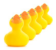 Rubber Ducks In A Row