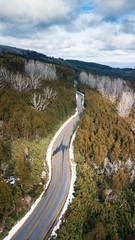 Canvas Print - Aerial View of Road and Forest in Snow