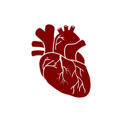 Sticker - heart, human, vector, medical,pulse, beat, wave, heartbeat maroon icon