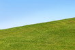 Green grass slope against a clean blue sky