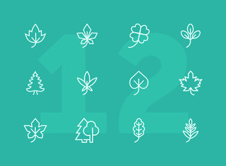 Poster - Leaves icon. Set of line icons on white background. Forest, fall, European flora. Trees concept. Vector illustration can be used for topics like season, botany, biology