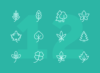 Poster - Leaves line icon set. Maple, oak, fir tree. Nature concept. Can be used for topics like forest, park, ecology