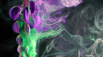 Wall Mural - Multicolor designer flower. Colorful Pigment Flow.