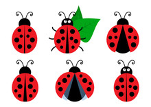 Set Of Colored Cute Ladybug Icons. Vector Illustration