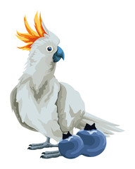 Wall Mural - parrot wild cockatoo icon cartoon