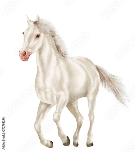 Cheval Blanc De Face Animal Etalon Isole Noir Galop Mammifere Crin Chevalin Ferme Courir Galop Nature Andalou Amoureux Des Chevaux Poney Tete Portrait Sauvage Arabe Course Brun Stock Illustration Adobe Stock Cheval Blanc De Face Animal Etalon Isole Noir Galop Mammifere Crin Chevalin Ferme Courir Galop Nature Andalou Amoureux Des Chevaux Poney Tete Portrait Sauvage Arabe Course Brun Stock Illustration Adobe Stock