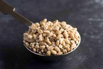 Whole Grain Milling Barley on a Tablespoon