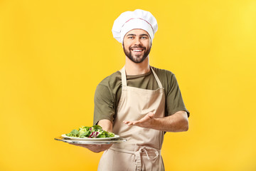 Wall Mural - Handsome male chef with salad on color background