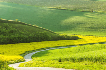 Sticker - Landcsape with a countryside road among fields of yellow rapeseed flowers, green  grass and wheat growing on the hills.