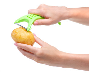 Wall Mural - potatoes and peeler in hand on white background isolation