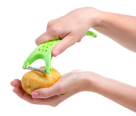 Wall Mural - potatoes and peeler in hand on white background isolation