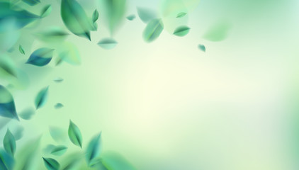 Nature abstract background with spring green leaves vector illustration