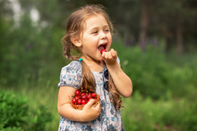 Little Girl Eating Cherries From A Basket On Nature