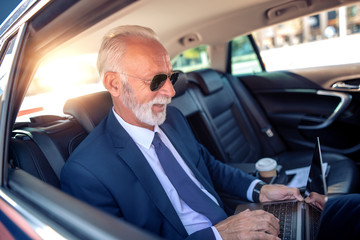 Wall Mural - Businessman using laptop in the car