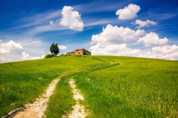 tuscany landscape at spring , italy