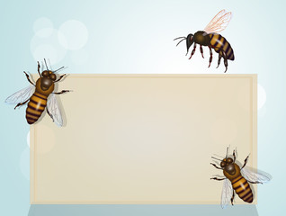 Poster - the importance of bees for the planet