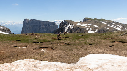 Wall Mural - hiking on the high plateaux of the Vercors, at the foot of the Grand Veymont