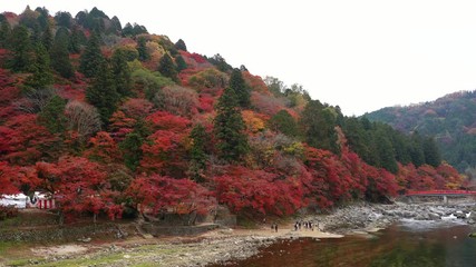 Wall Mural - Korankei valley outside Nagoya famous for fall colors. tourists enjoy on waterfall, Taigetsukyo red bridge with red maple trees colorful fall foliage autumn leaf festival at Aichi, Chubu Region, Japan