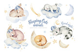 Cute dreaming cartoon animal deer, bear hand drawn watercolor illustration. Sleeping rabbit charecher kids nursery wear fashion design, baby cartoon and fox