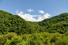Mountain Slope Covered With Dense Green Vegetation