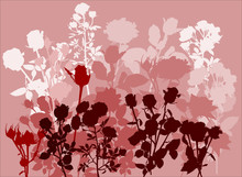 Large Rose Flowers Bush Illustration