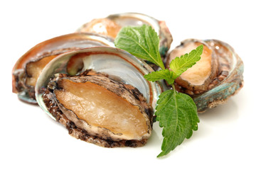 Poster - Raw abalones on the white background 