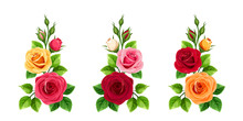Vector Set Of Branches Of Red, Pink, Orange And Yellow Roses Isolated On A White Background.