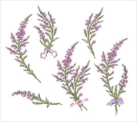 branch heather mother's day mom vector print purple flowers blossom