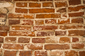 red brick wall texture foк portrait