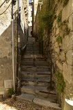 Fototapeta Na drzwi - Escaliers étroits et ombragé entre deux vieux murs en pierres dans le quartier médiéval de Périgueux en Dordogne