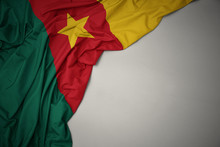 Waving National Flag Of Cameroon On A Gray Background.