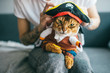 © benevolente - Lovely kitten in pirate costume. Funny cat in mask. Pet clothes concept.