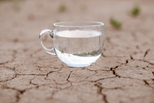 Concept Of Thirst, Dehydration, Lack Of Water. A Cup Of Water On Cracked Dry Ground.