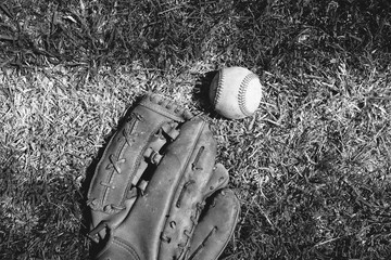 Sticker - Baseball glove in grass with ball for sport, black and white vintage style.