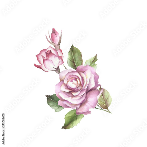 Roses and buds bouquet. Isolated on white background for your design. Waterco...