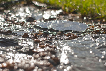  wet stones after rain. slate wet
