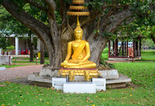 Beautiful Gold Color Buddha Statue Sitting Under Bodhi Tree,  Peaceful, Meditation Or Enlightenment Concept