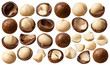 Macadamia nuts set isolated on white background. Package design elements with clipping path