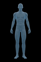human body, male, man