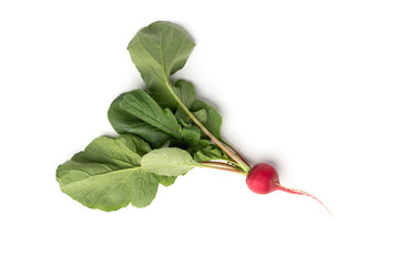 Wall Mural - Red radish isolated on white background.