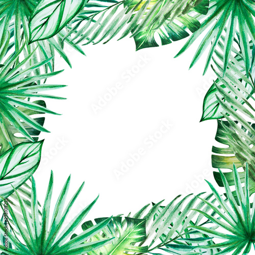 Beautiful tropical leaves frame. Monstera, palm. Watercolor painting. Exotic ...