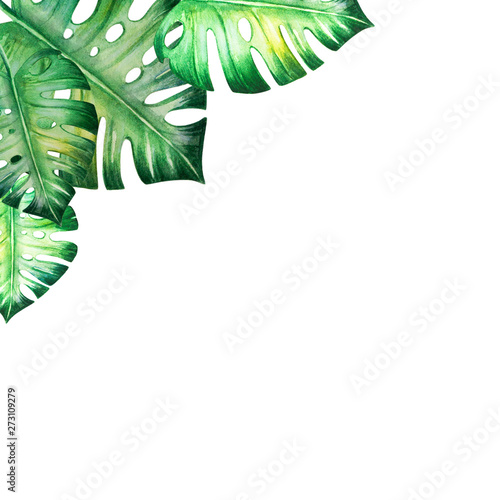 Beautiful tropical leaves frame. Monstera, palm. Watercolor painting. Exotic ...