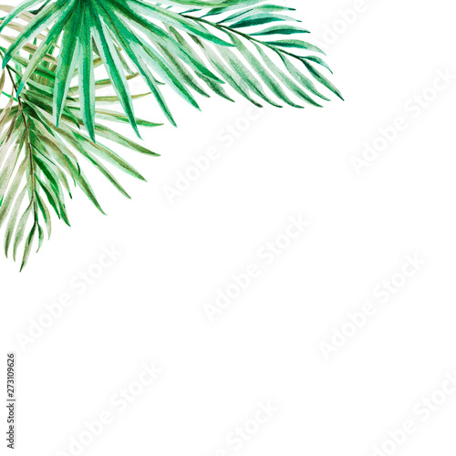 Beautiful tropical leaves frame. Palm. Watercolor painting. Exotic plant. Nat...
